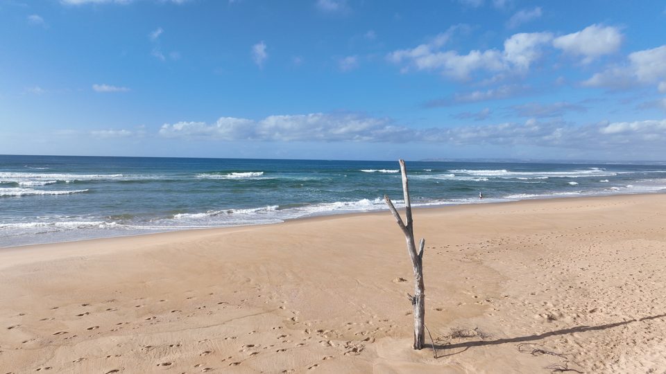 The beach below the house